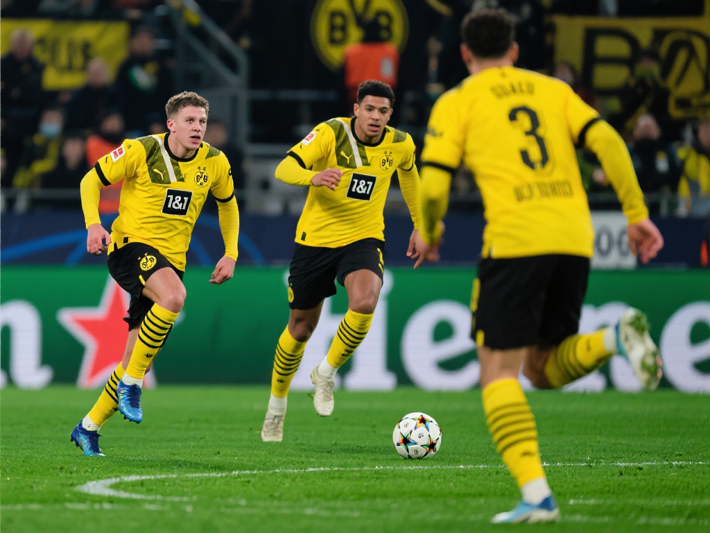 这种活动不 这种活动不